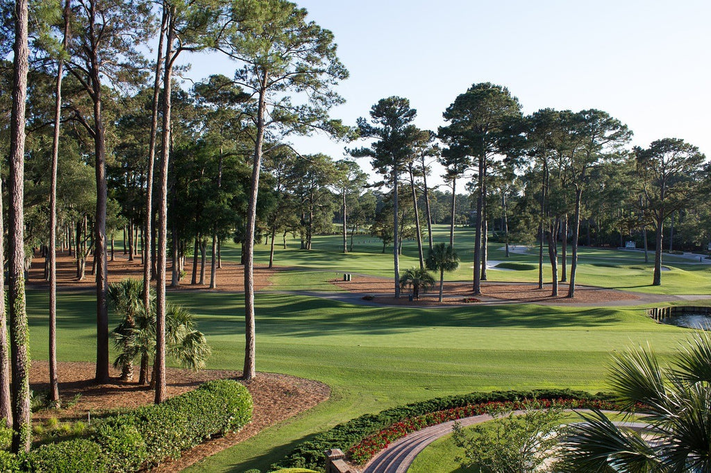 Discovering the Location: Where is Oak Hill Golf Course