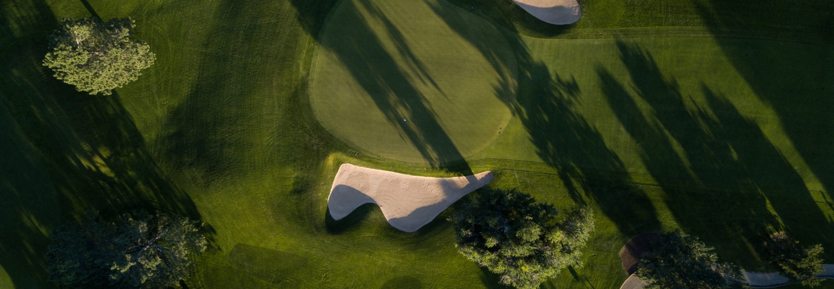 Aerial view of a golf course with a sand trap, lush green grass, and tall trees casting shadows, emphasizing bold golf app...