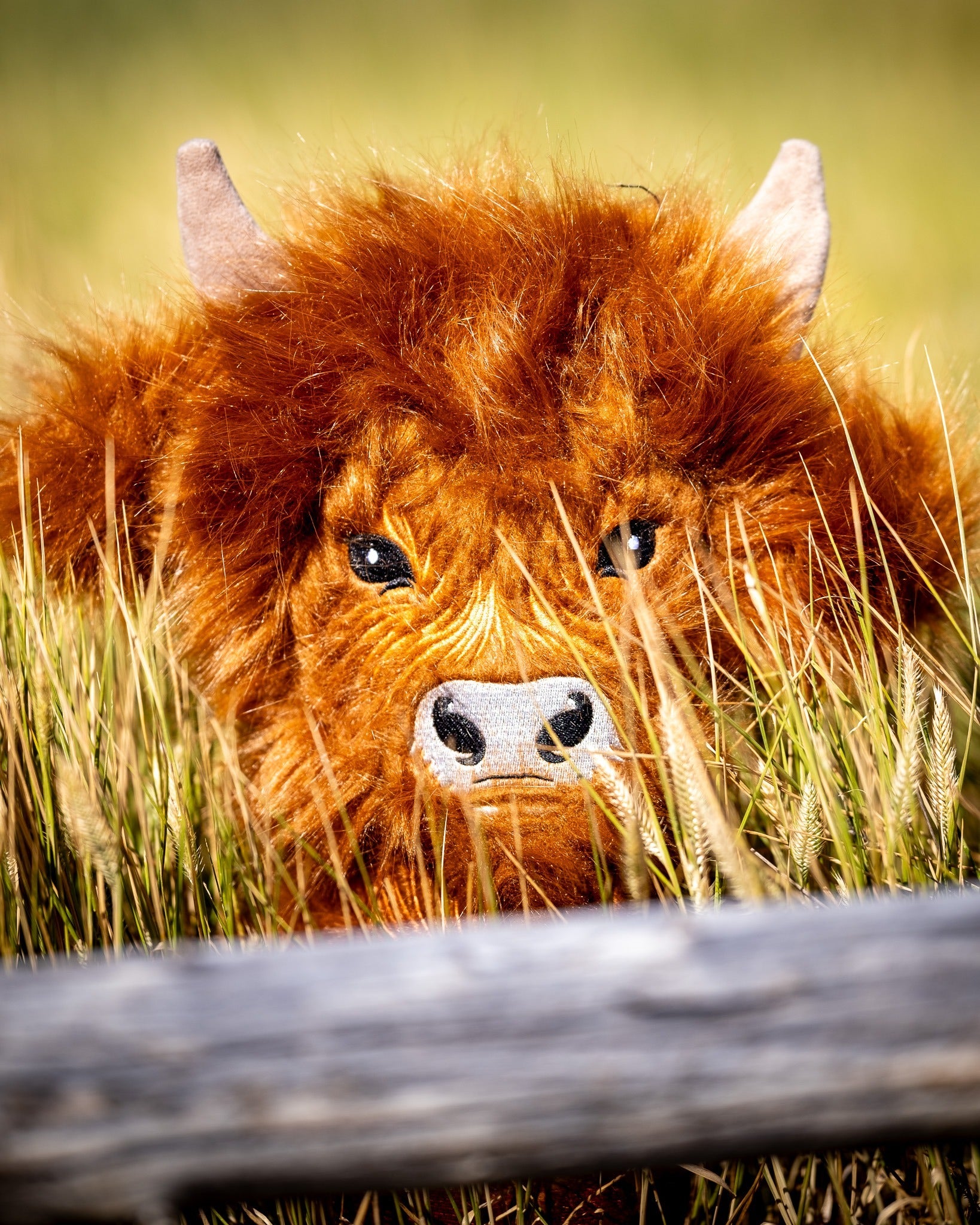 Highland cow driver cover peeking through tall grass, featuring realistic fur and expressive features for a unique golf accessory.