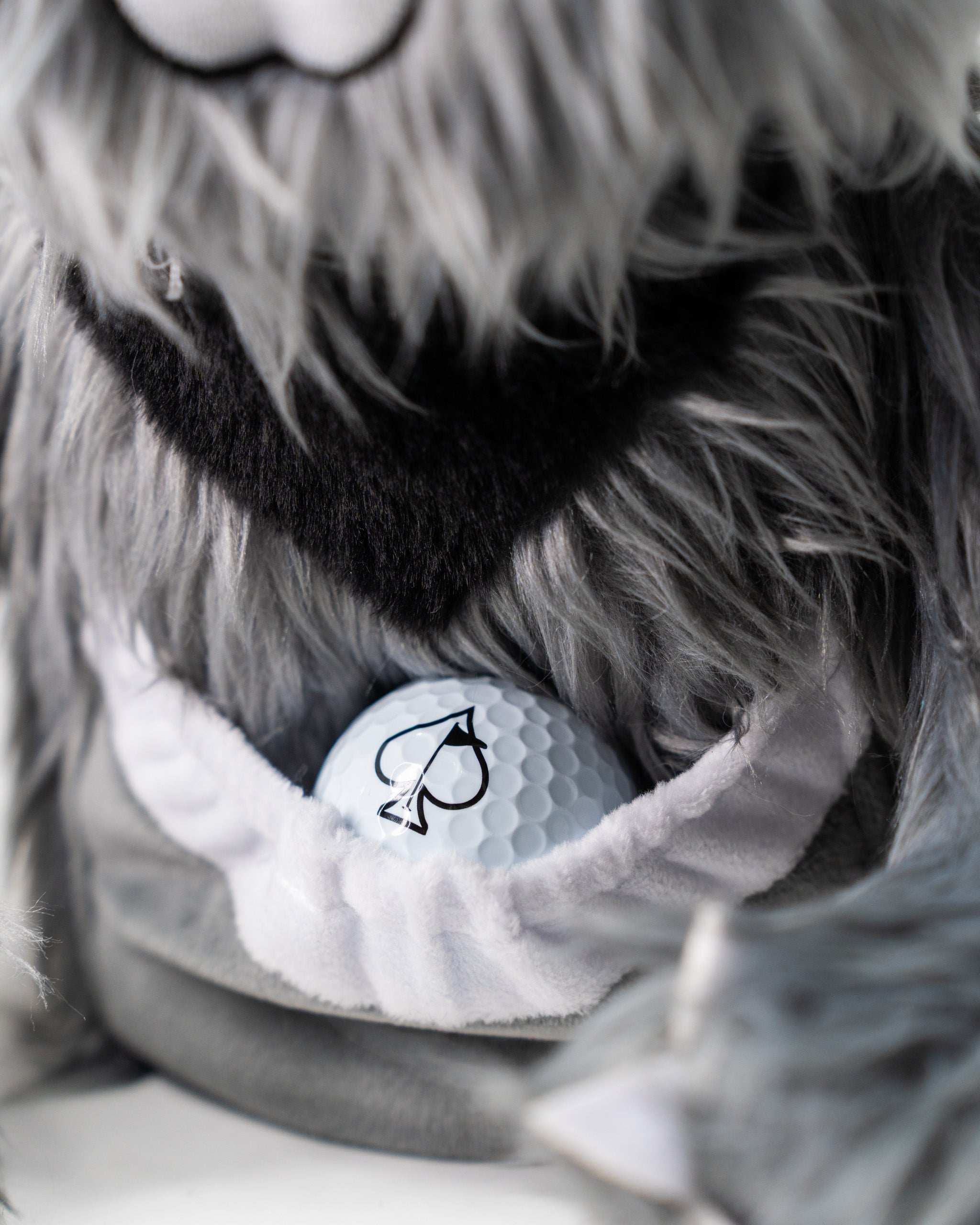 Koala driver cover featuring a plush design with a hidden golf ball pocket, perfect for stylish protection on the course.