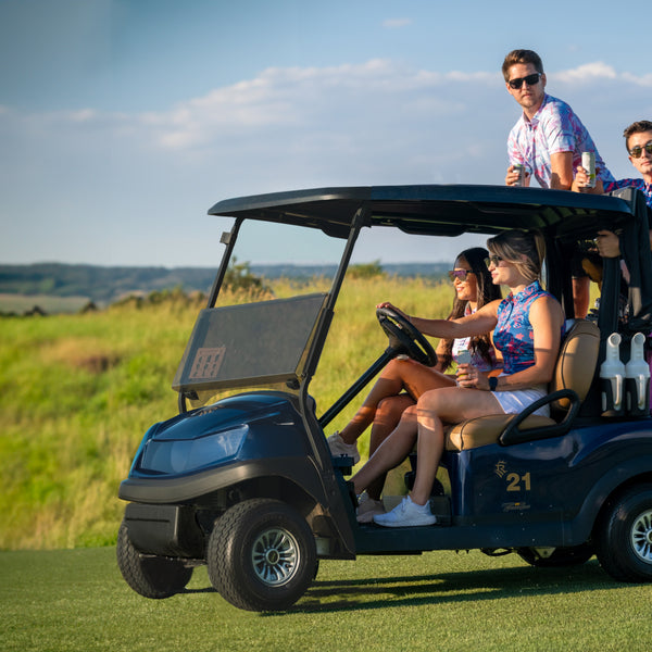 Shamrock Ball Marker Pins and Aces